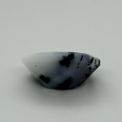 Dendrite  9.8 Ct Lab Tested